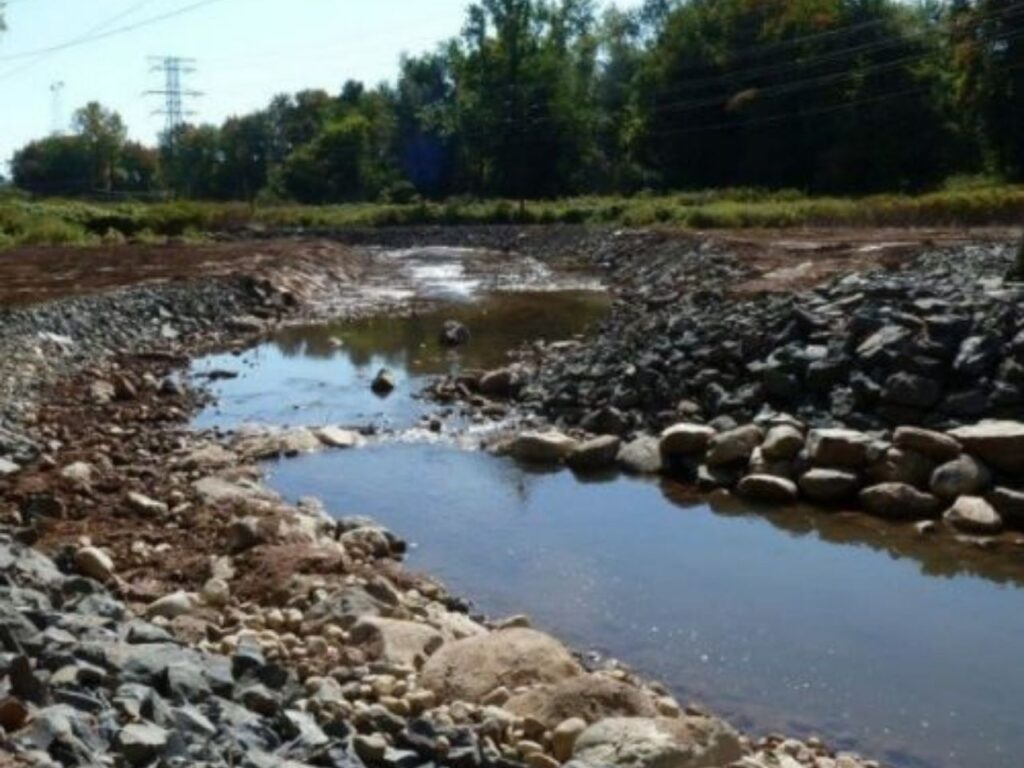 Wetland Restoration Construction CT